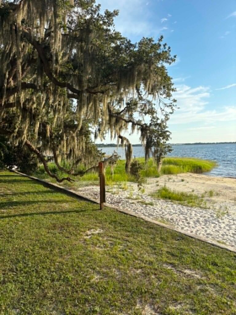 Lake Minneola shoreline and walking path in Clermont, Florida