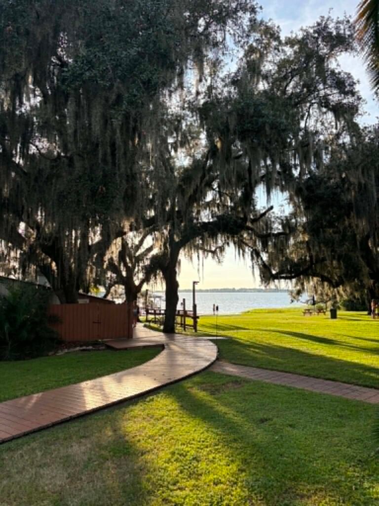 Lake Minneola waterfront in Clermont, Florida with oak trees and Spanish moss